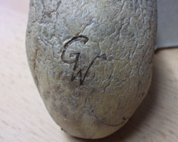 Pomme De Terre